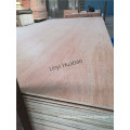 Bintangor/Red Meranti/Okoume Plywood, Commercial Plywood